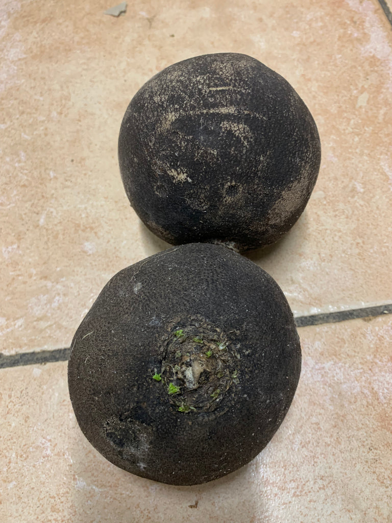 Schwarzer Rettich, 5 kg