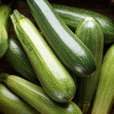 Zucchini grün, 6 kg