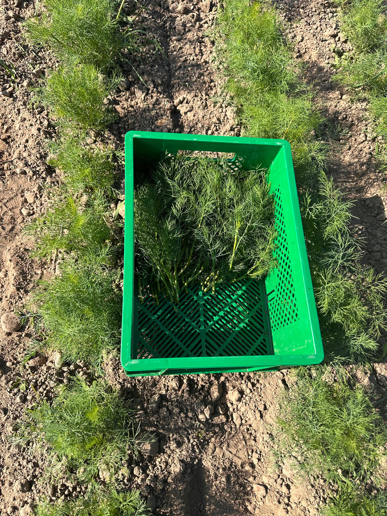Bio Dill