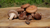 Bio-Shiitake