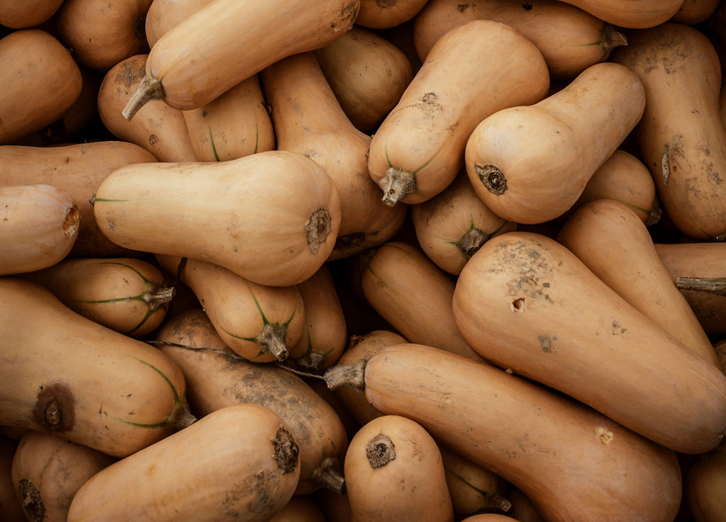 Kürbis Butternut, 8 kg