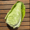 Bio Spitzkohl