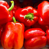 Roter Blockpaprika