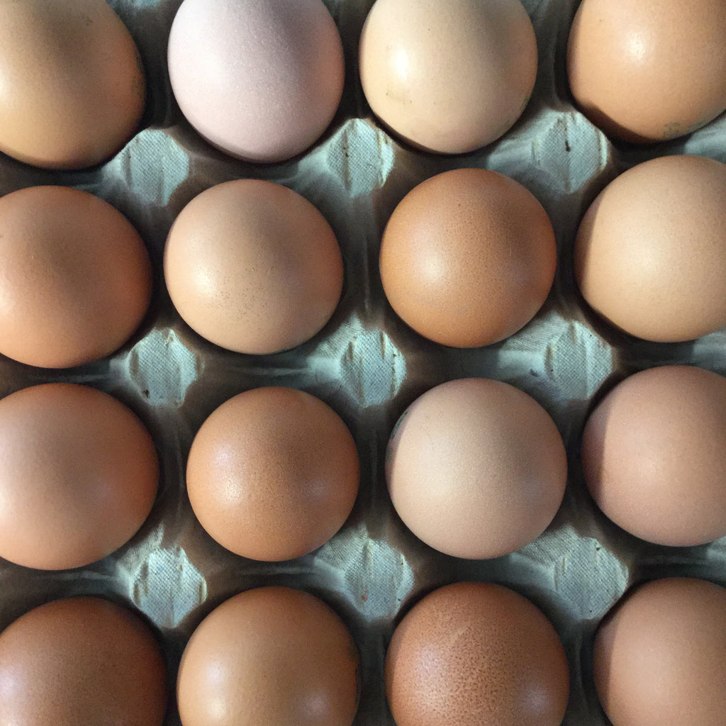 Demeter Bio Eier, Größe S,Klasse A, BID,  lose 30 er Eierhöcker