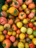 Tomaten - Kunterbunt (1kg/6,90€)